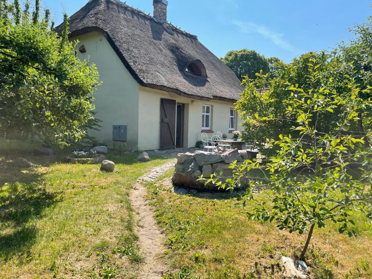 Oaza Pod Strzecha Klimatyczny Dom Z 3 Sypialniami Na Wylacznosc Z Kominkiem I Duzym Ogrodem Ustronie Morskie Exterior photo